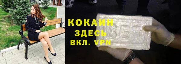 шишки Наволоки