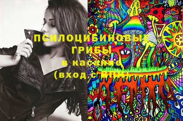 МДПВ Заводоуковск