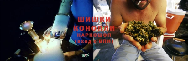 МДПВ Заводоуковск