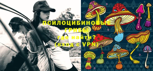 МДПВ Заводоуковск
