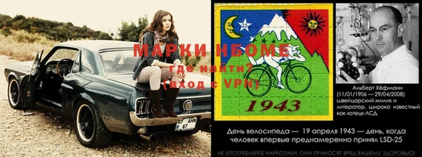 индика Тында