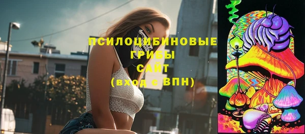 МДПВ Заводоуковск