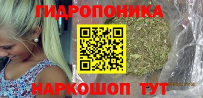 крисы Пыть-Ях