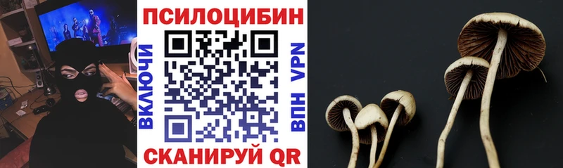 купить   Дальнегорск  Псилоцибиновые грибы мухоморы 