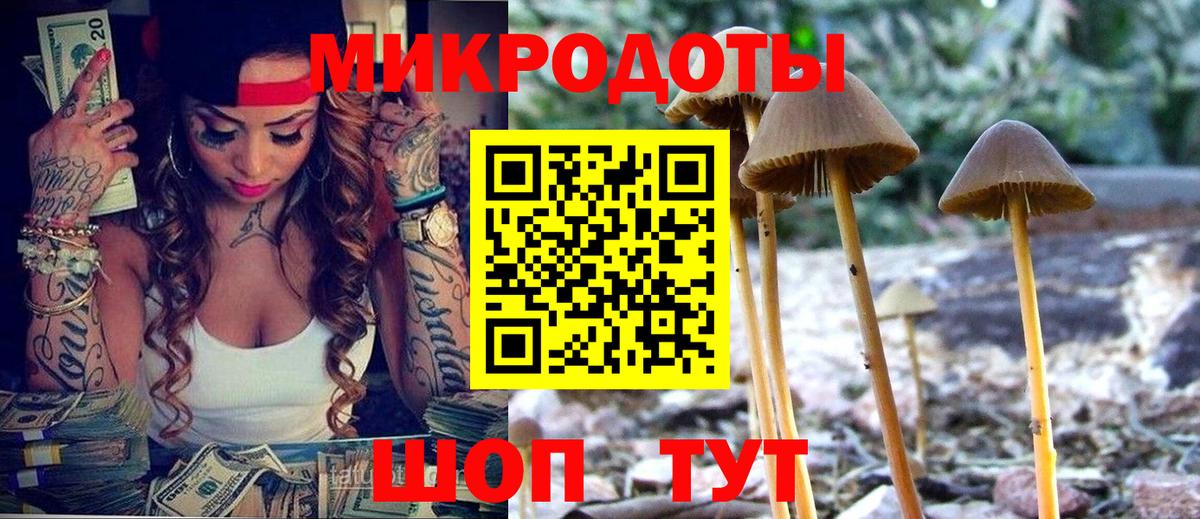 Галлюциногенные грибы MAGIC MUSHROOMS  Вход с VPN  Галлюциногенные грибы Psilocybine cubensis  Дальнегорск 